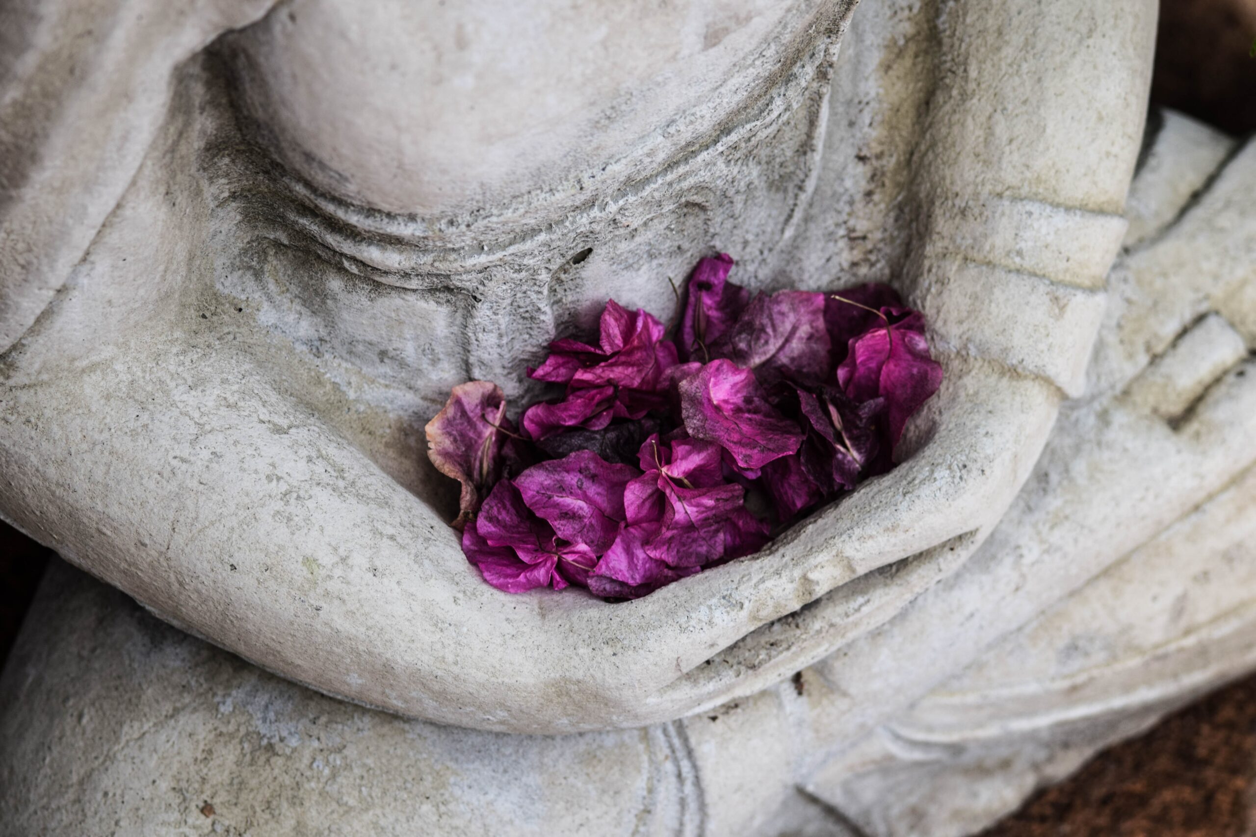 Hulp Bij Verwerking Miskraam Of Abortus